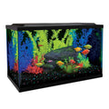 10 Gallon Aquarium Kit B709