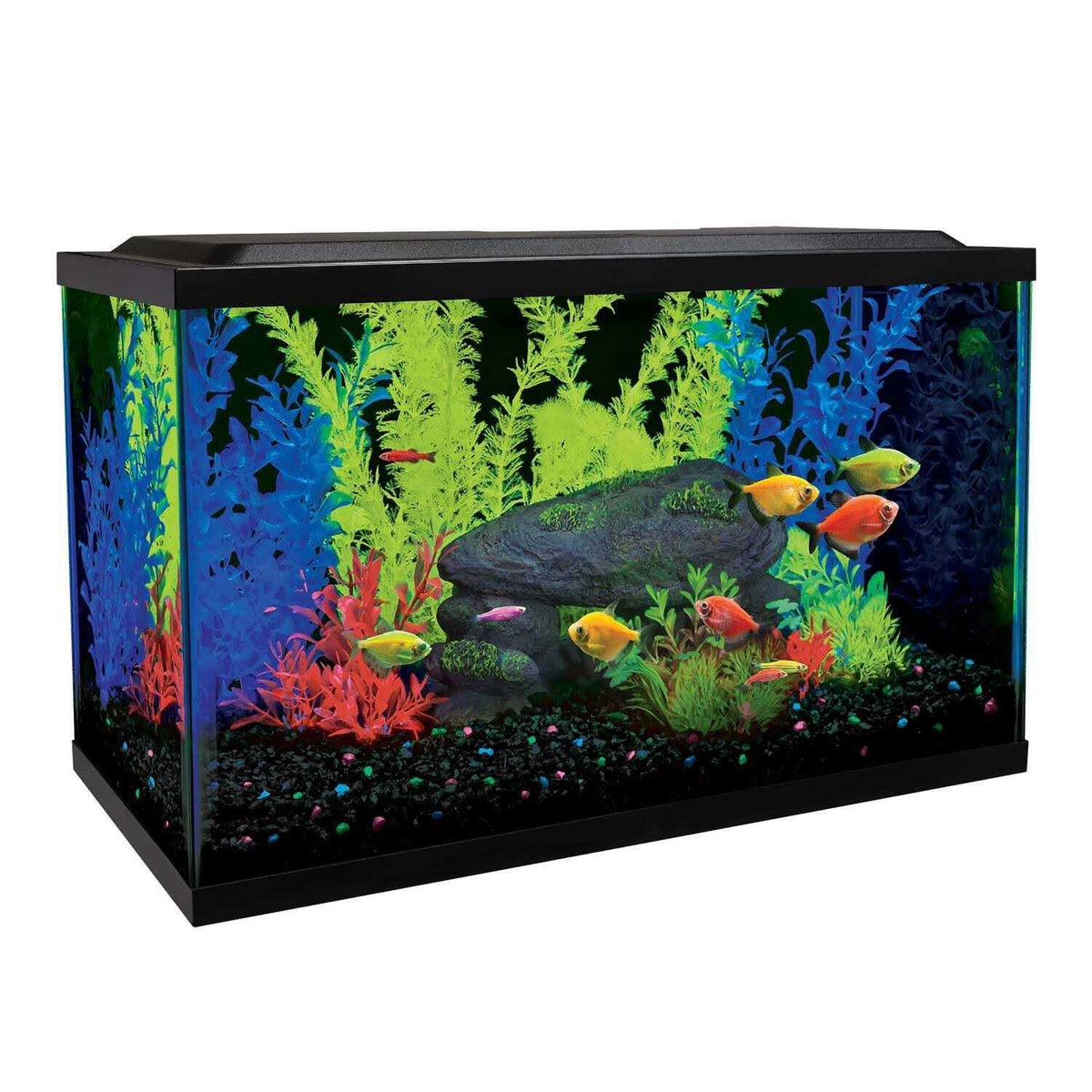 10 Gallon Aquarium Kit B709