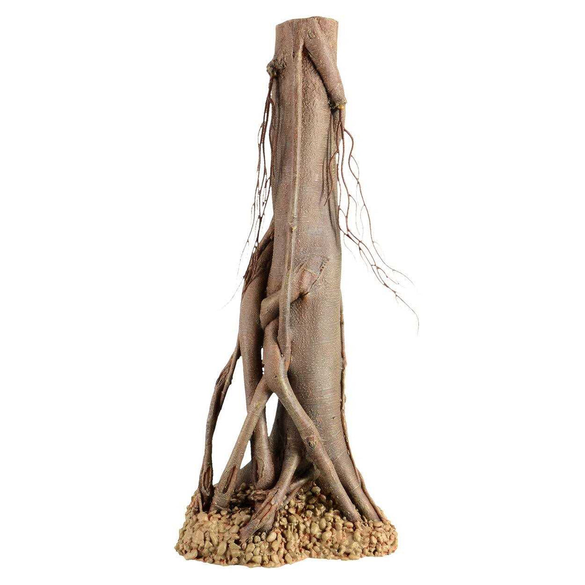 Mangrove Root Z10232