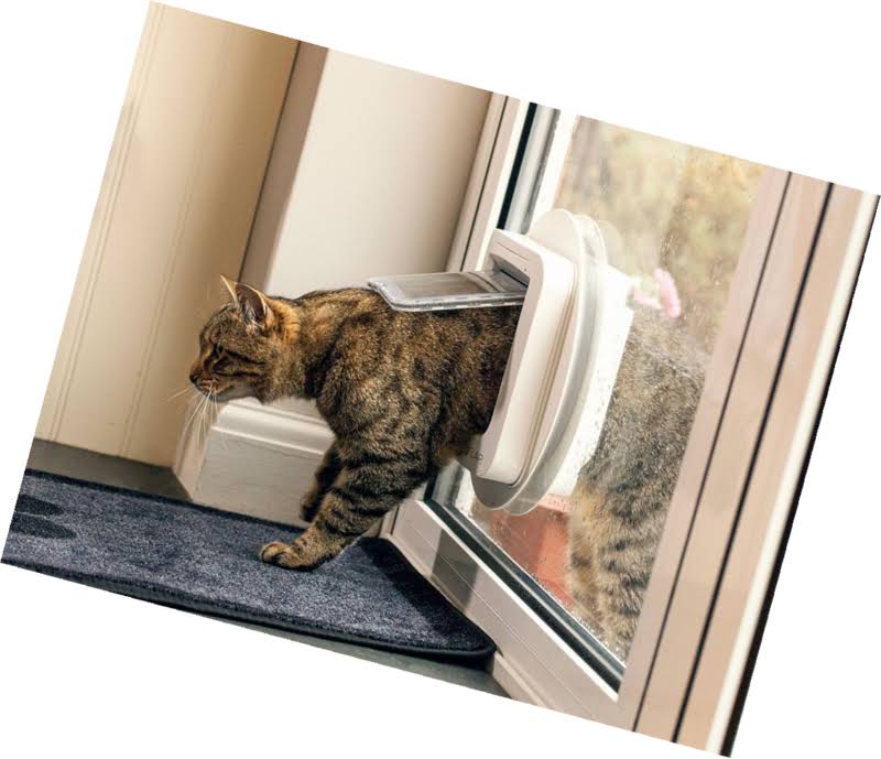 White Microchip Cat Flap S66925