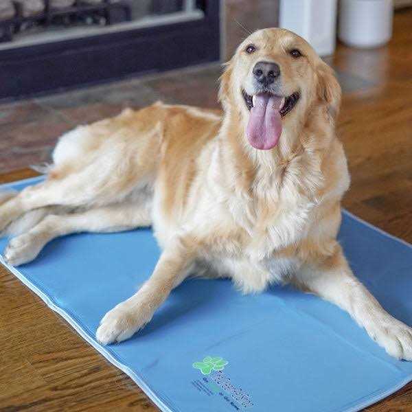 Cool Pet Pad P182213