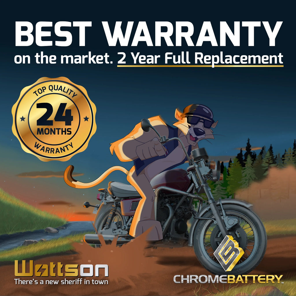 12 Volt 14 Ah 230 CCA ATV Battery Z50582
