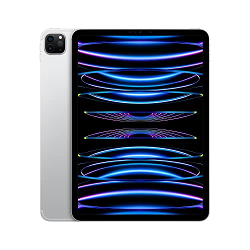 11-inch Wi-Fi 128GB Space Gray iPad Pro D195