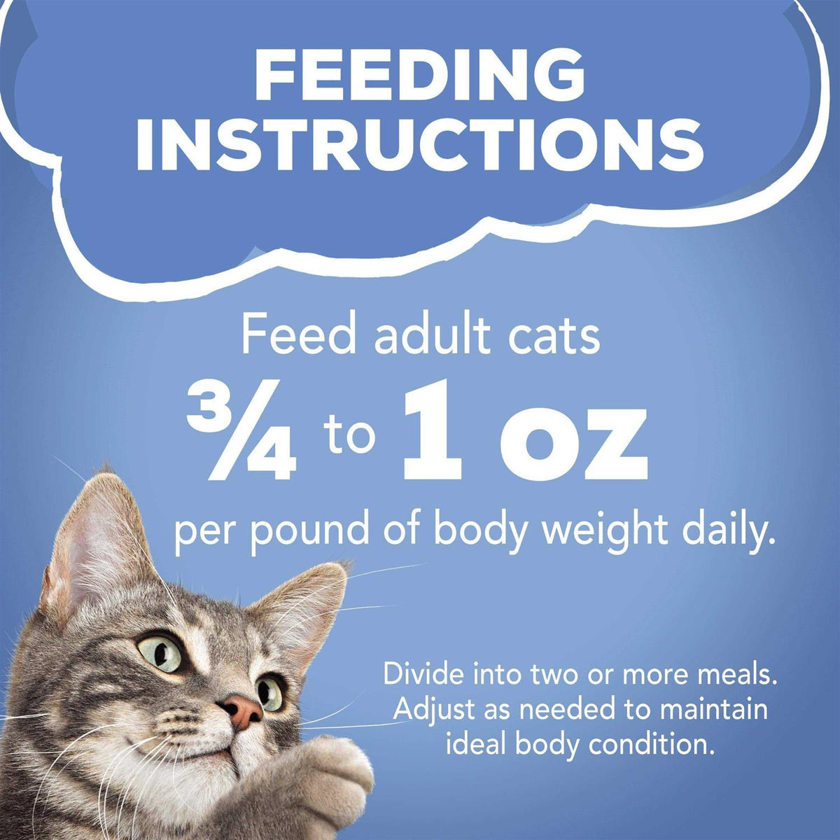 Wet Cat Food D857150