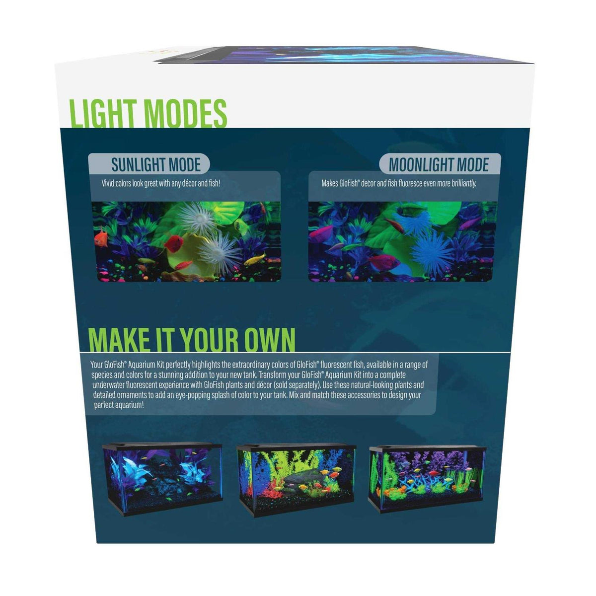 10 Gallon Aquarium Kit B709