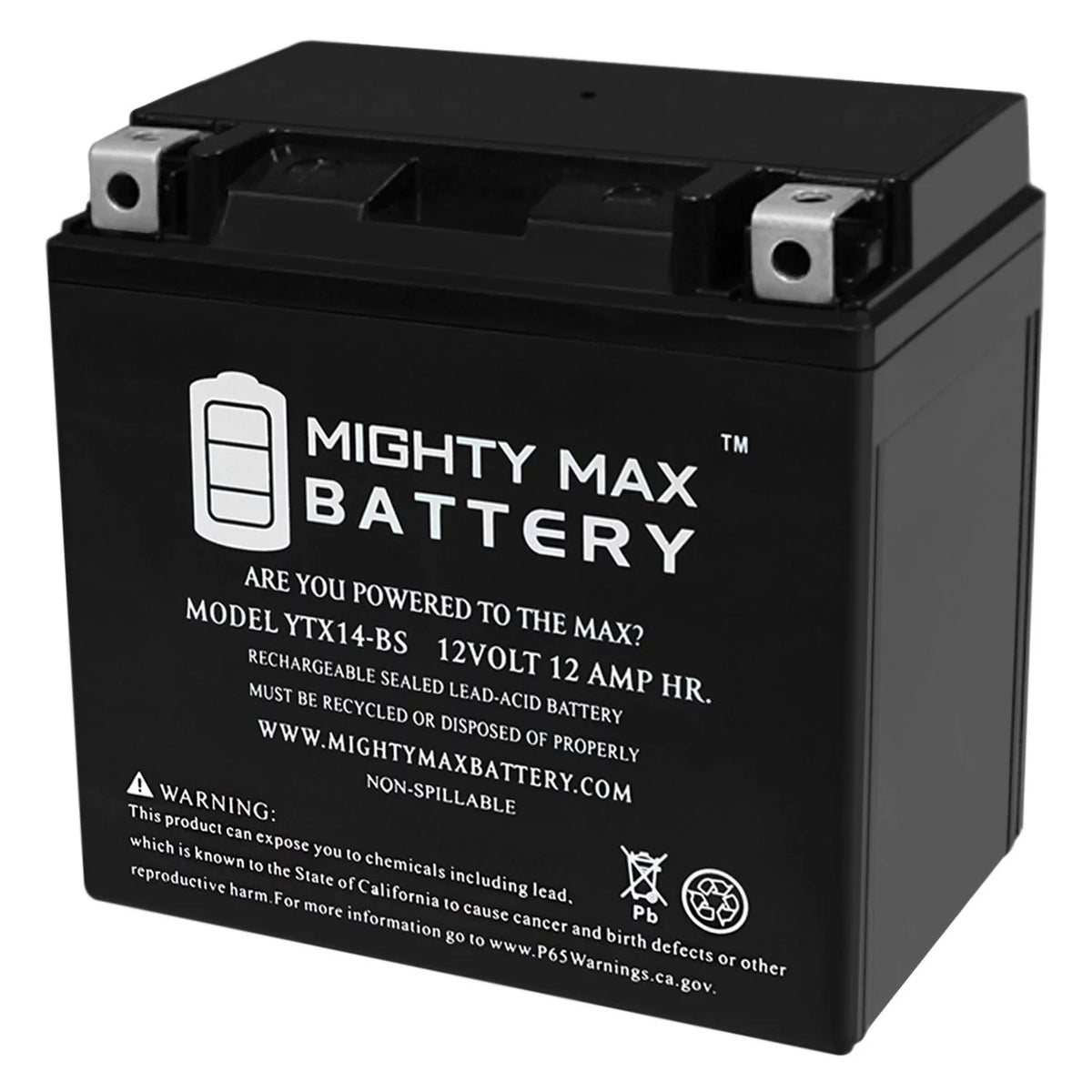 YTX14-BS Replacement Battery N49682