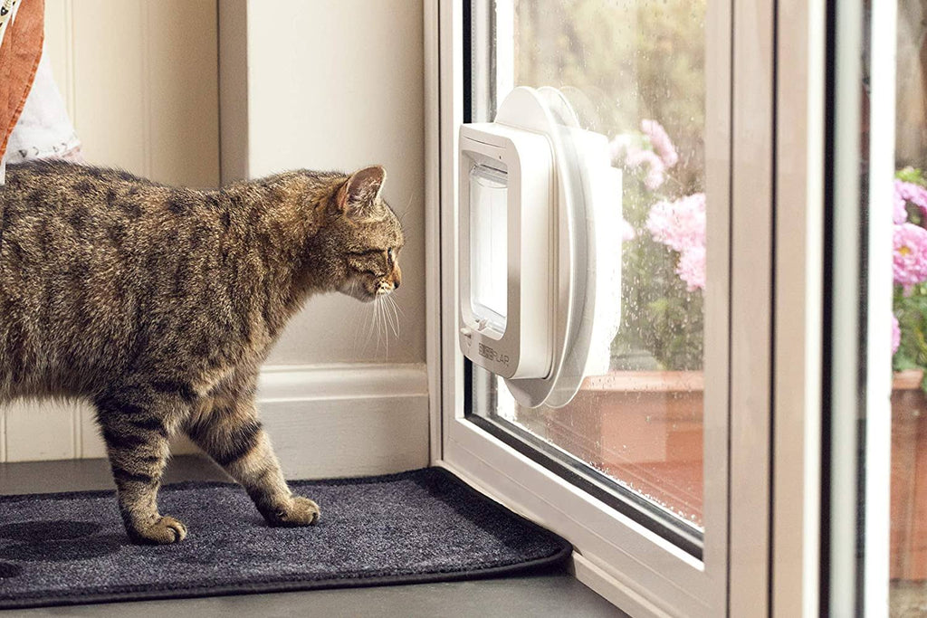 White Microchip Cat Flap S66925