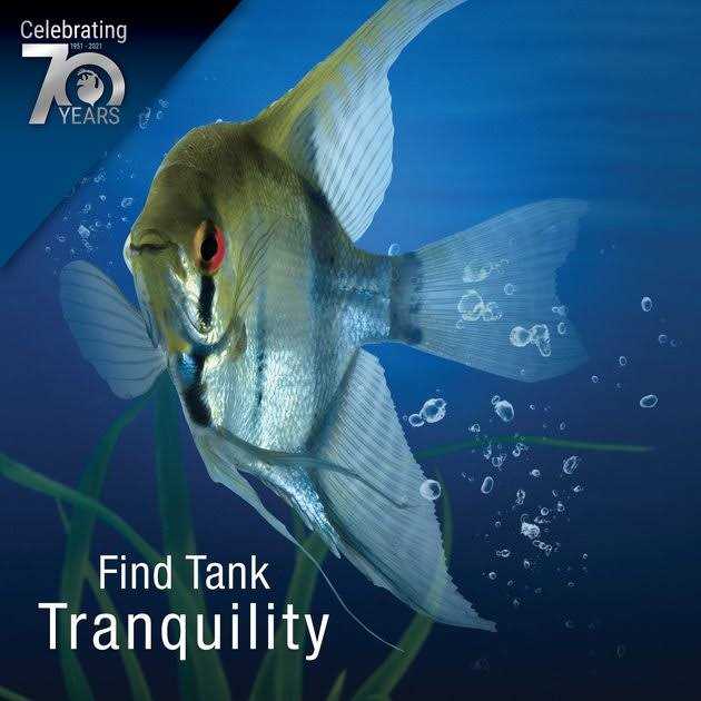 1.5 Gallon LED Cube J8071