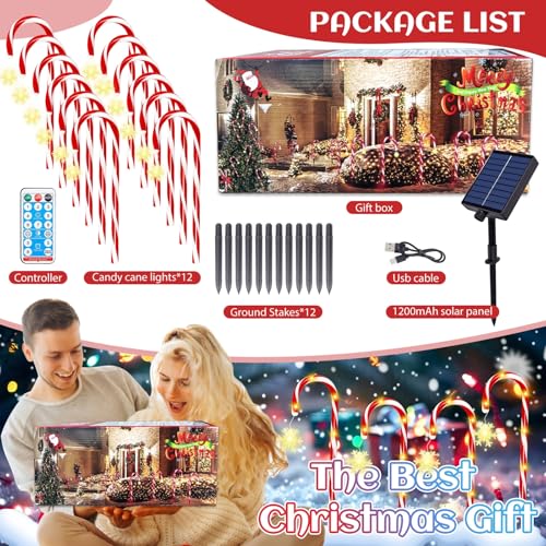 12 Pcs Solar Candy Cane Lights D214647