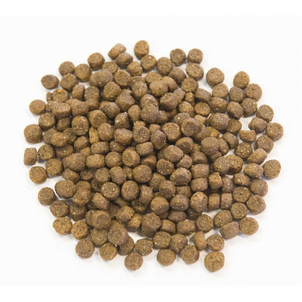 Chicken Meal with Ancient Grains Dog Food N603578