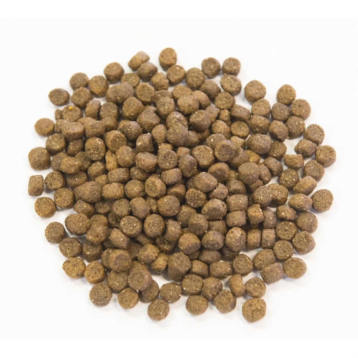 Chicken Meal with Ancient Grains Dog Food N603578