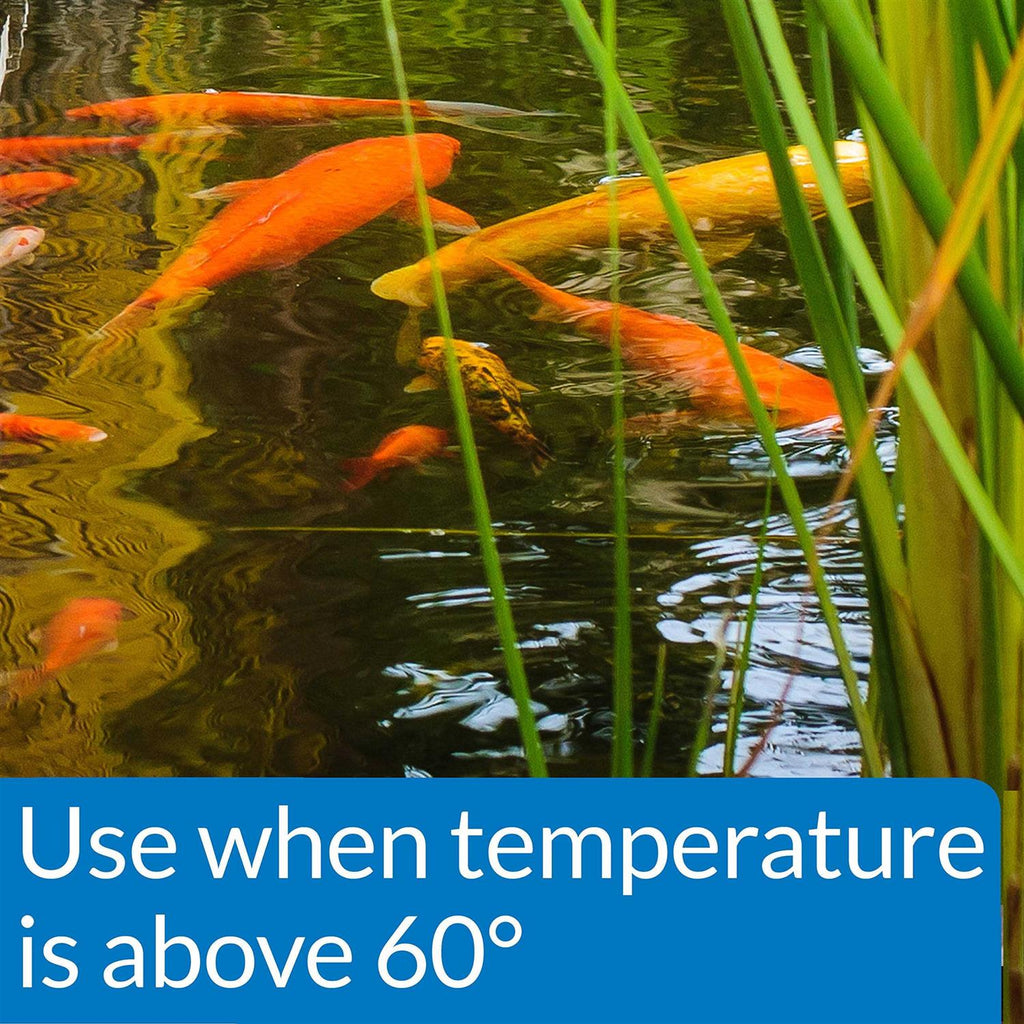 Pond Fish Food X866