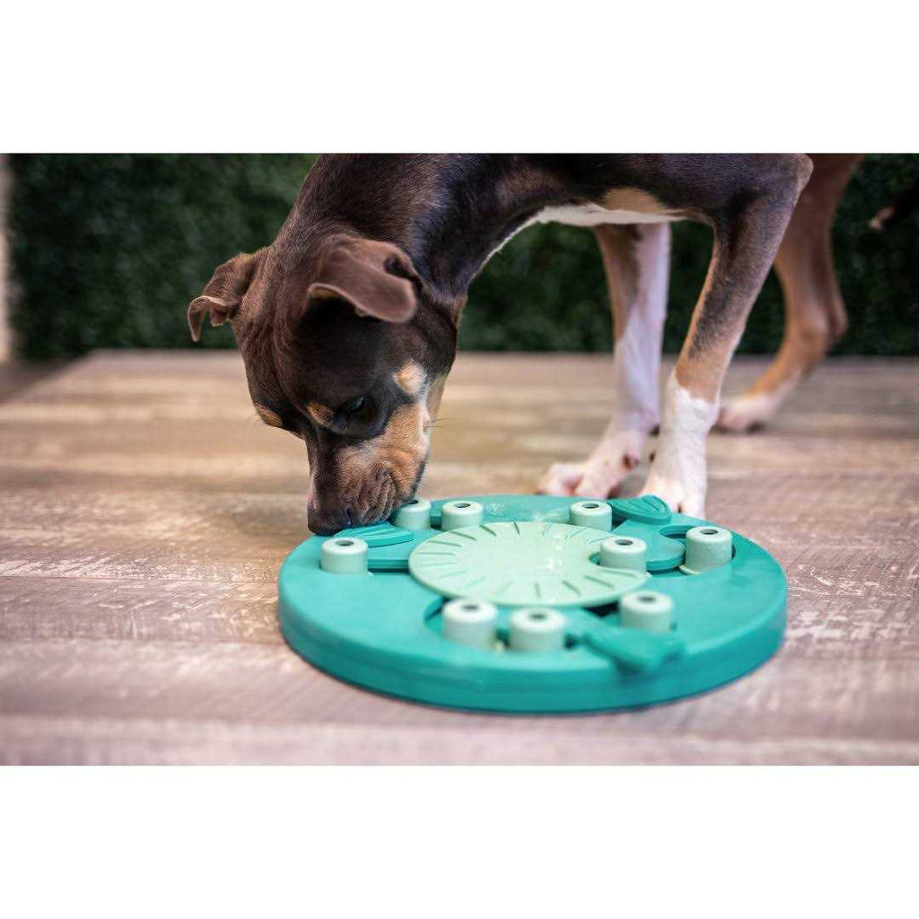 Interactive Puzzle Dog Toy E966