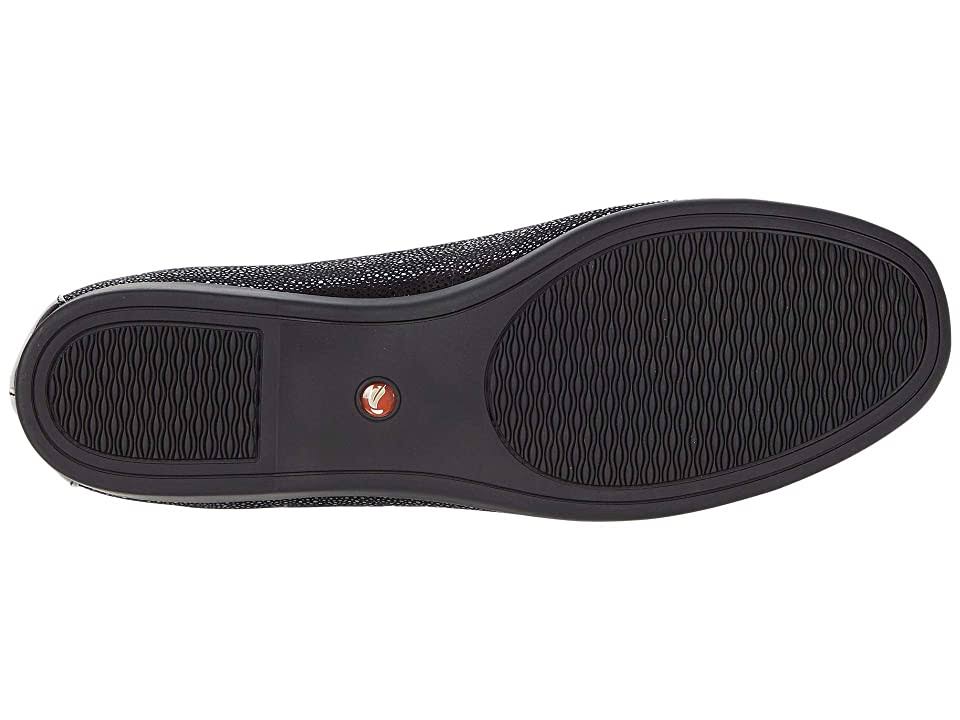 Black Flat - 7 W B2004