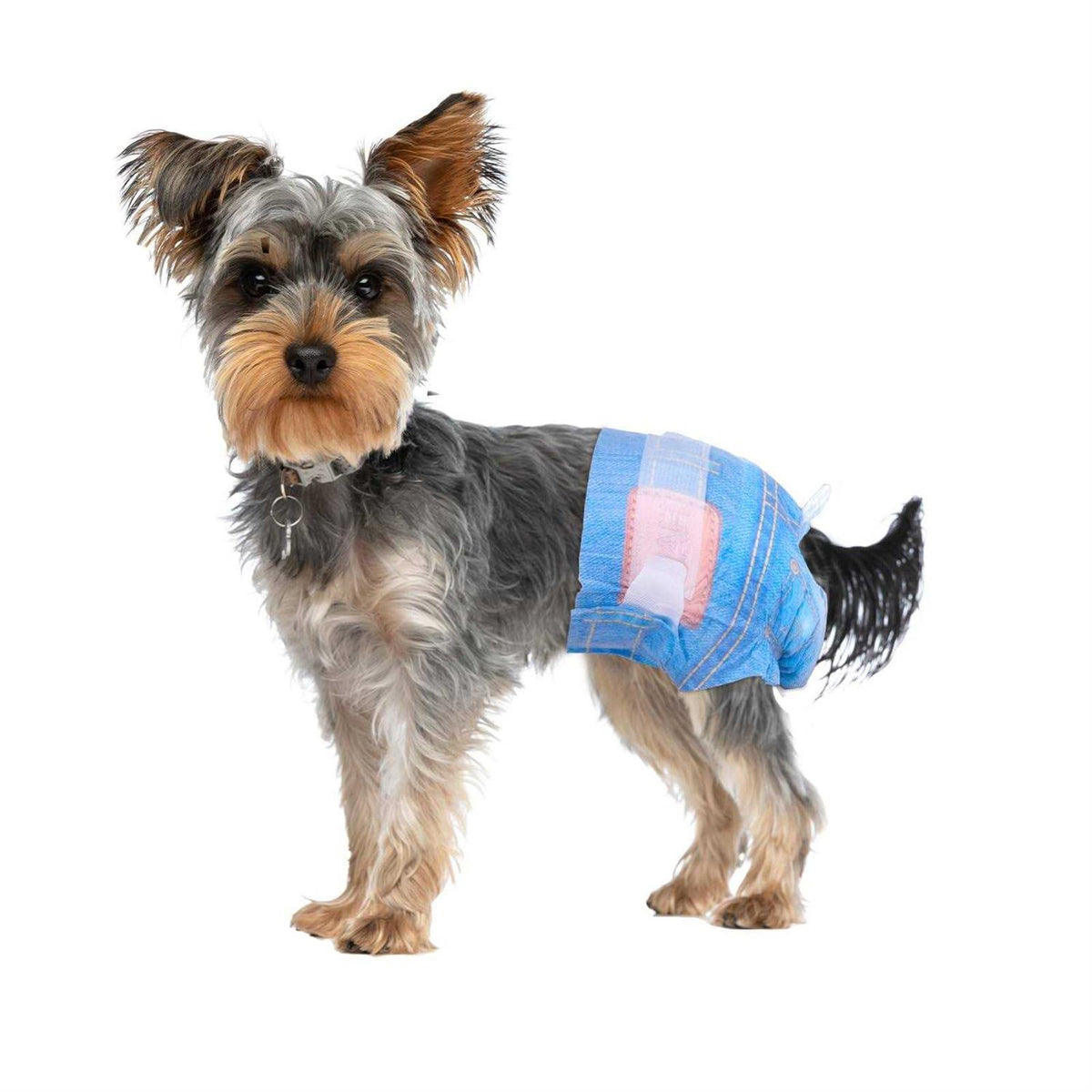 Female Disposable Dog Diapers X14214