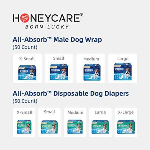 Male Dog Wrap O428