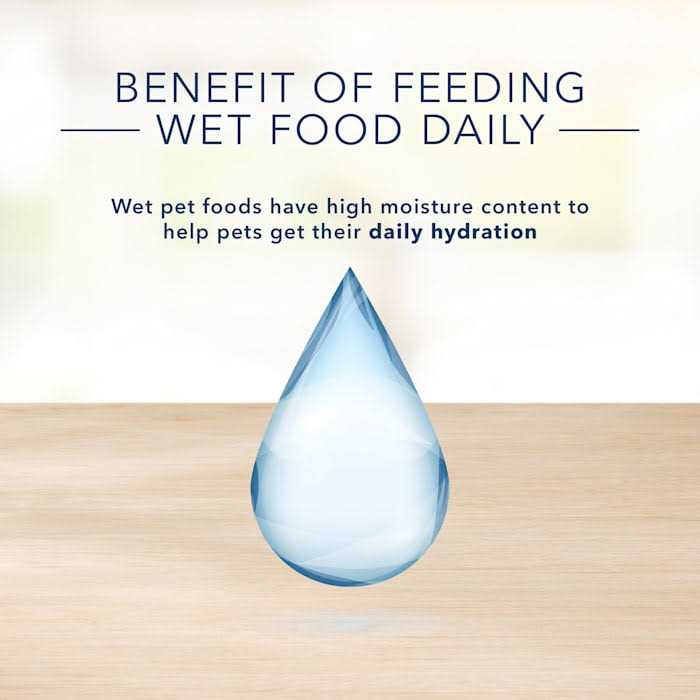 Adult Wet Dog Food F80649