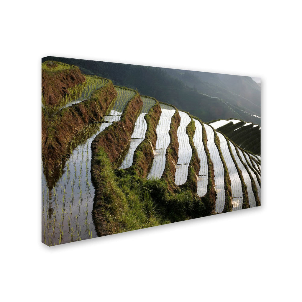 Farmland Canvas Art N360261