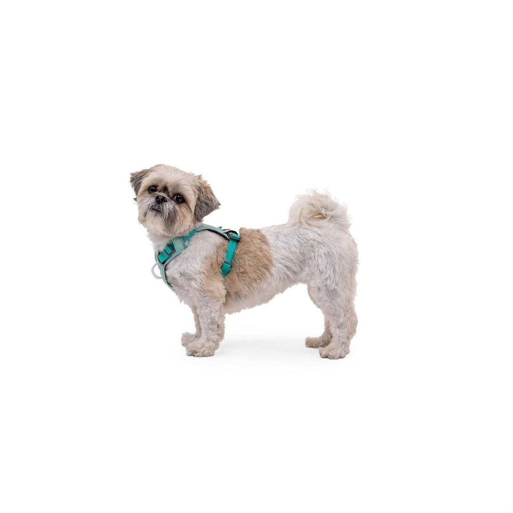 Hi & Light Dog Harness N449
