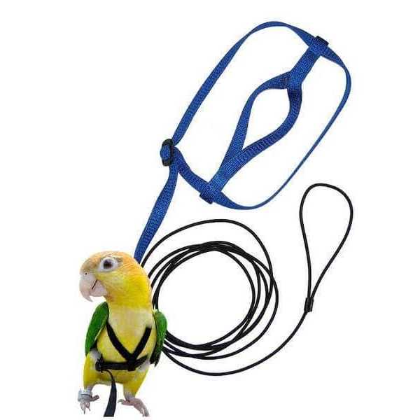Bird Harness and Leash F163561