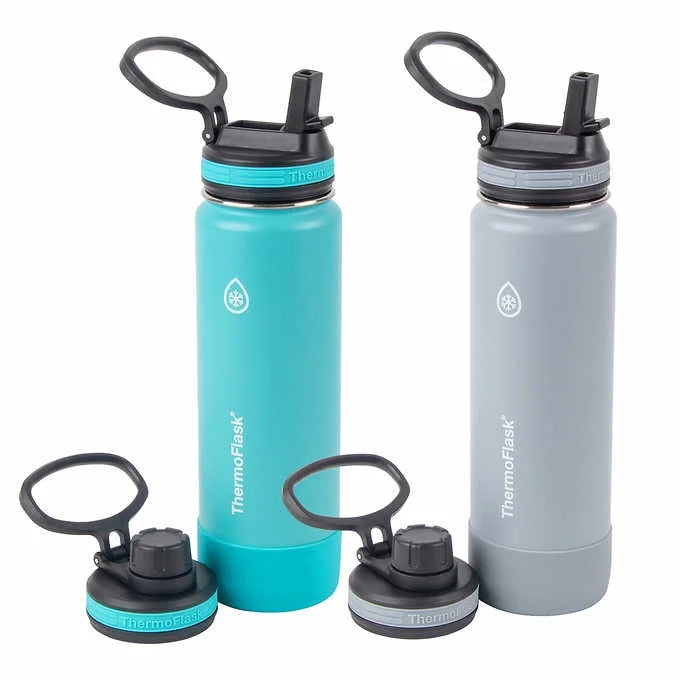 24oz Stainless Steel Insulated Bottle 2-pack I382367