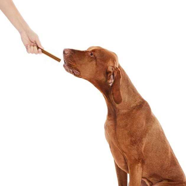 All-Natural Dental Chew Sticks Y3474