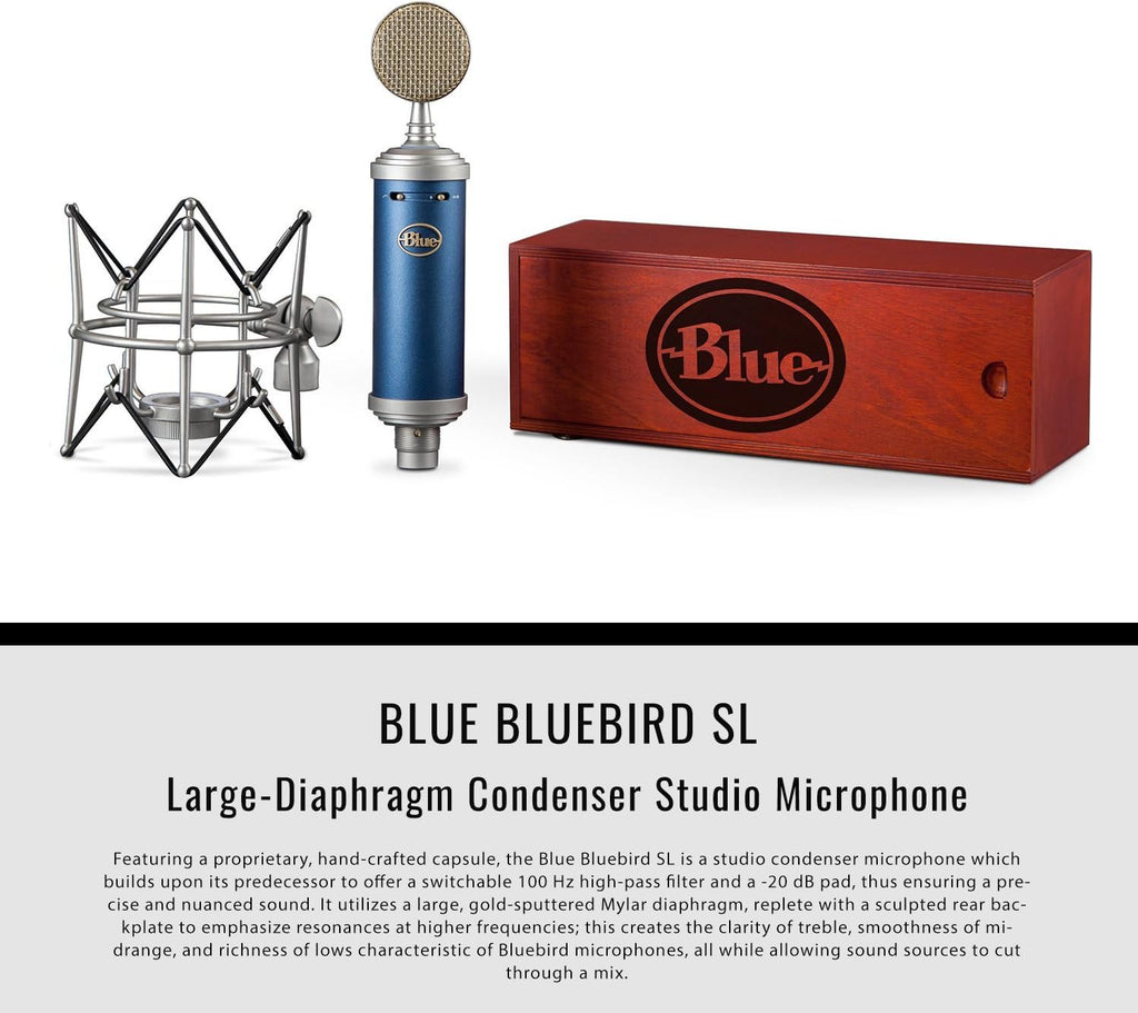 Large-Diaphragm Condenser Microphone with Closed-Back Headphones and XLR Cable H48537