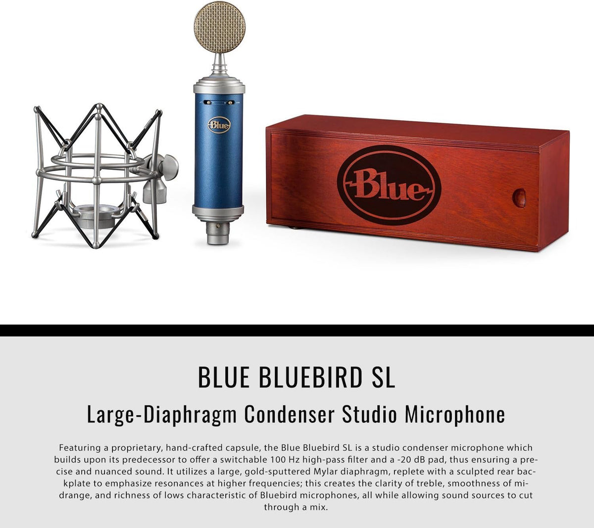 Large-Diaphragm Condenser Microphone with Closed-Back Headphones and XLR Cable H48537