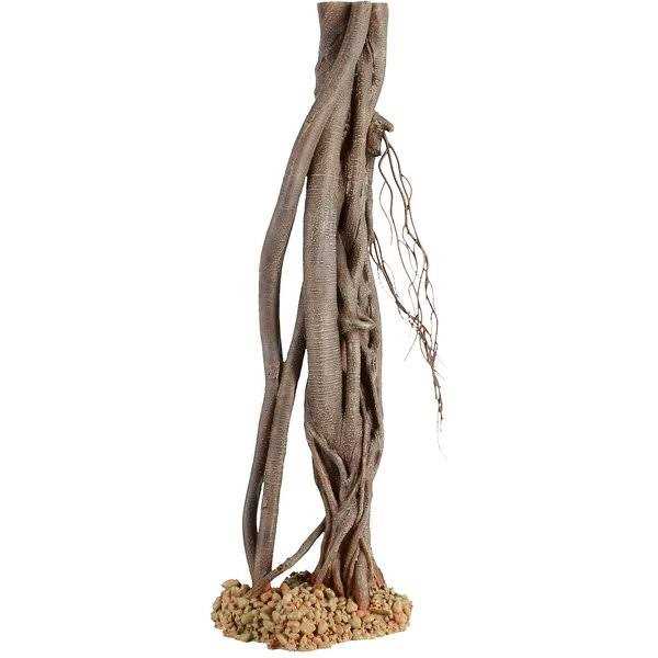 Mangrove Root Z10232