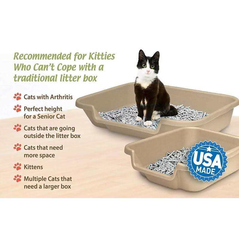 Senior Cat Litter Box T30823