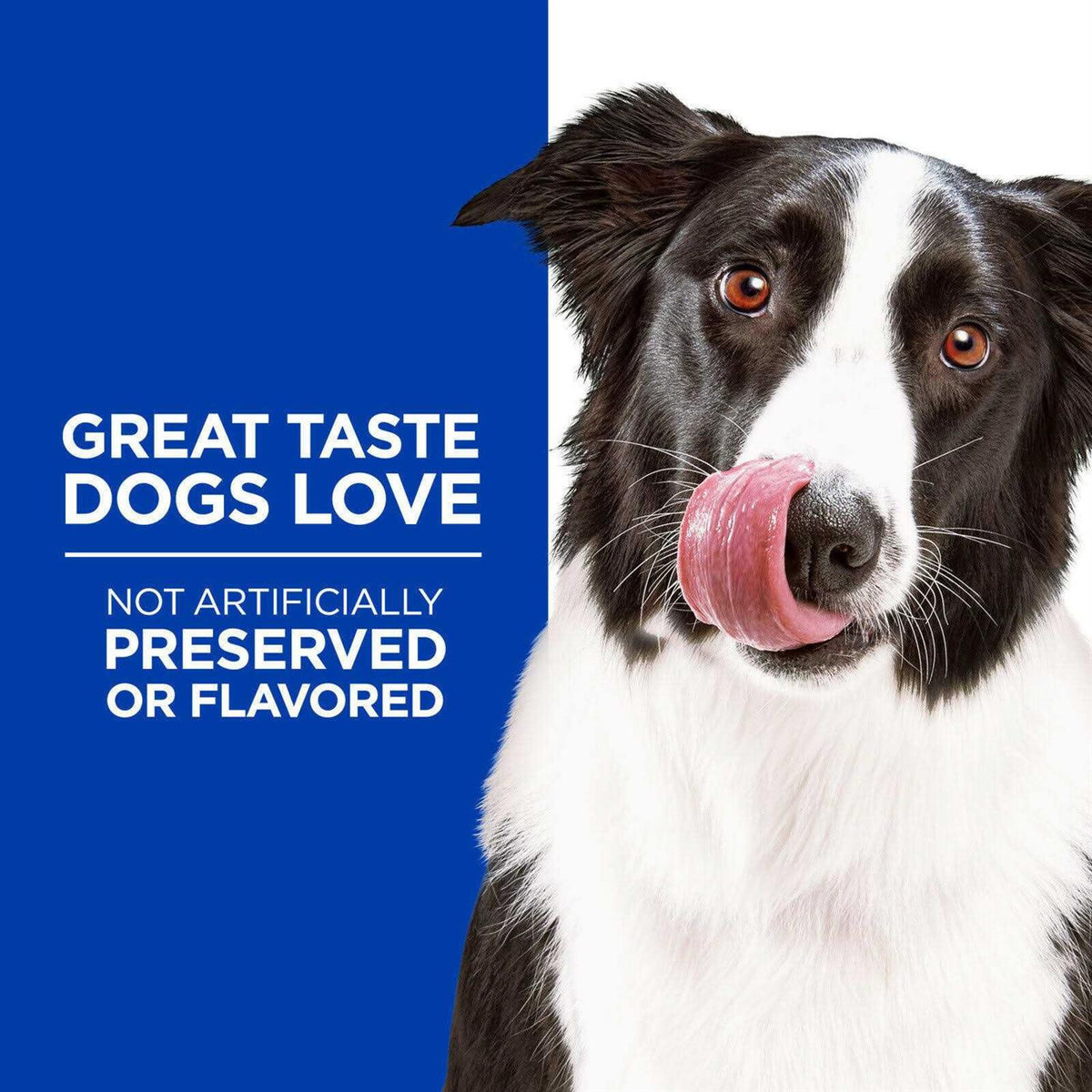Beef & Cheddar Dog Treats G2726