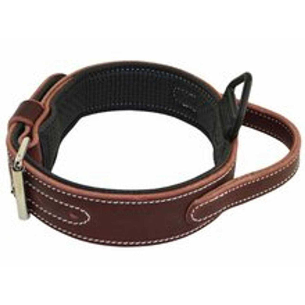 Padded Leather Collar K53350