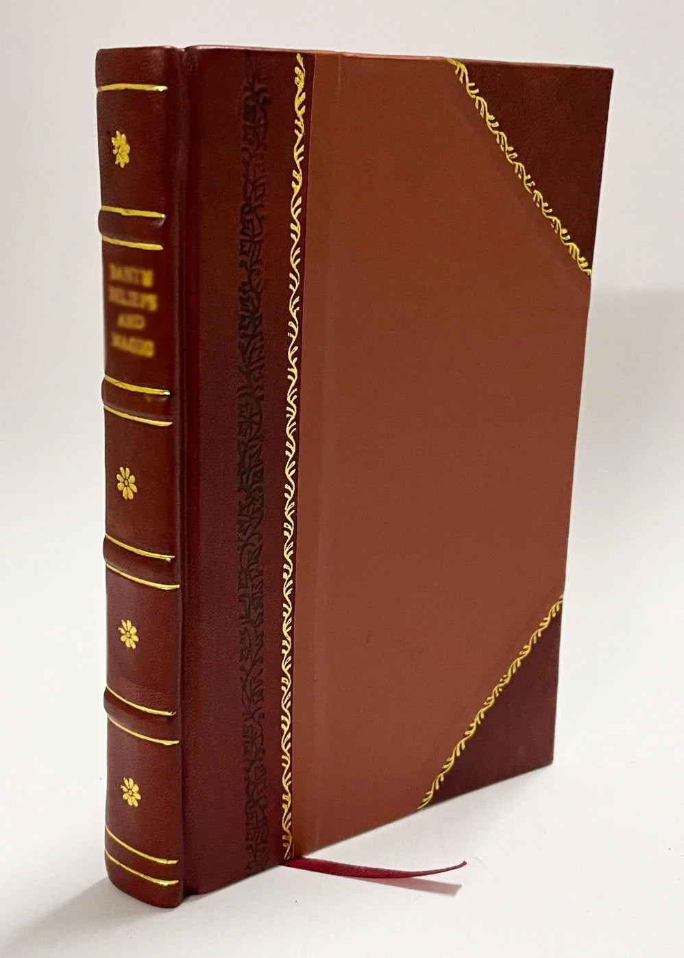 Leather Bound Book X158