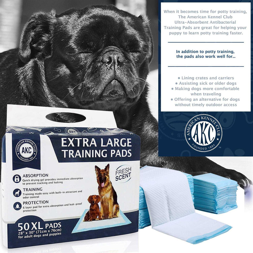 Training Pads I75040