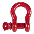 1/2 in. D-Ring Shackle E55983