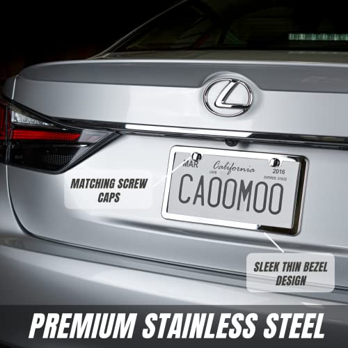 Stainless Steel License Plate Frame + Chrome Screw Caps (Silver) X137