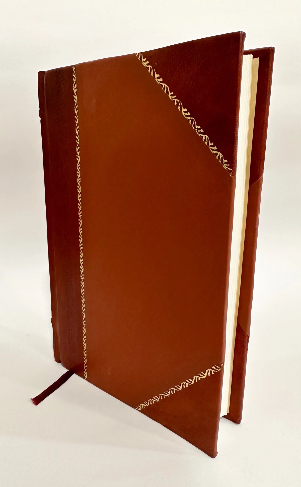 Leather Bound Book X158