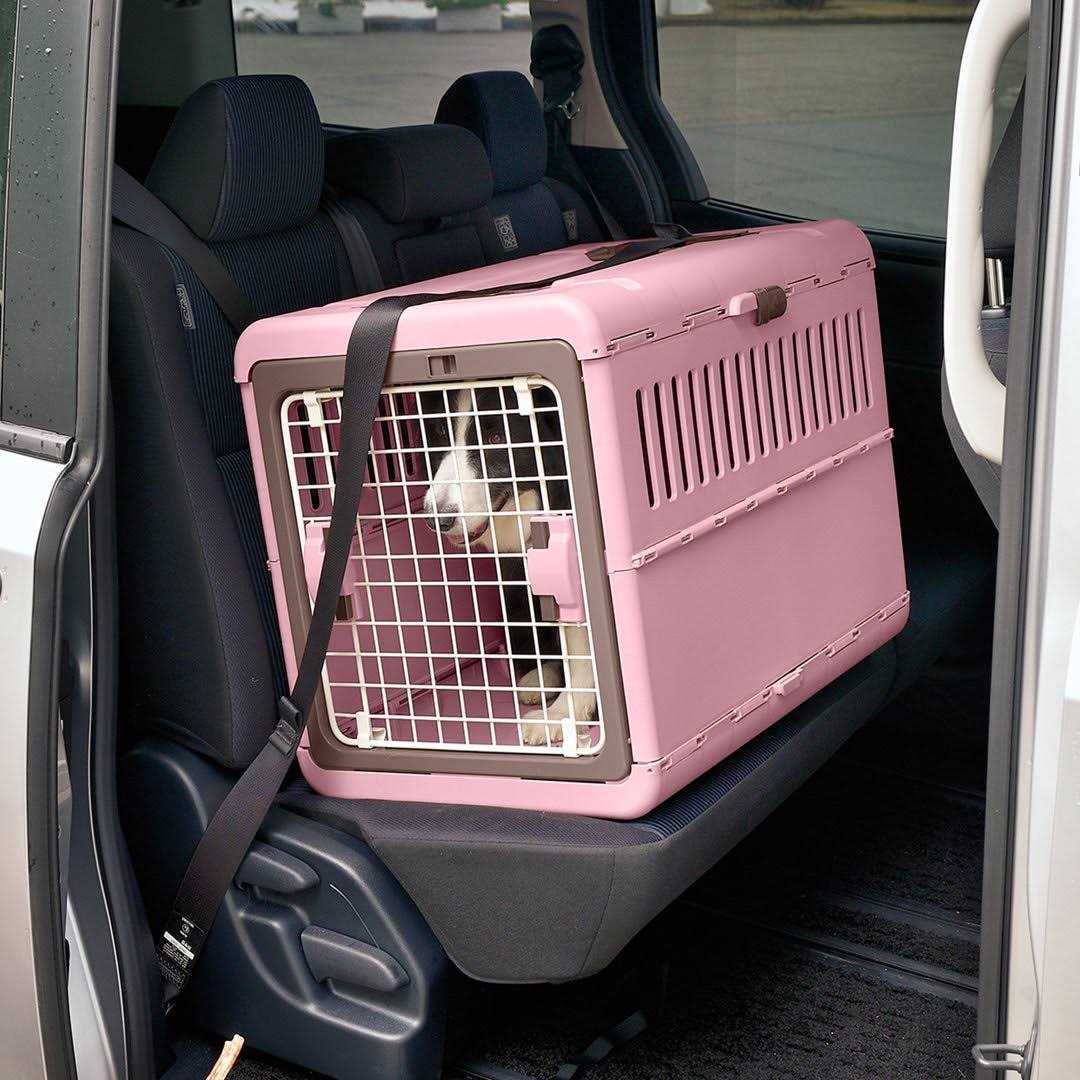 Foldable Pet Carrier R904