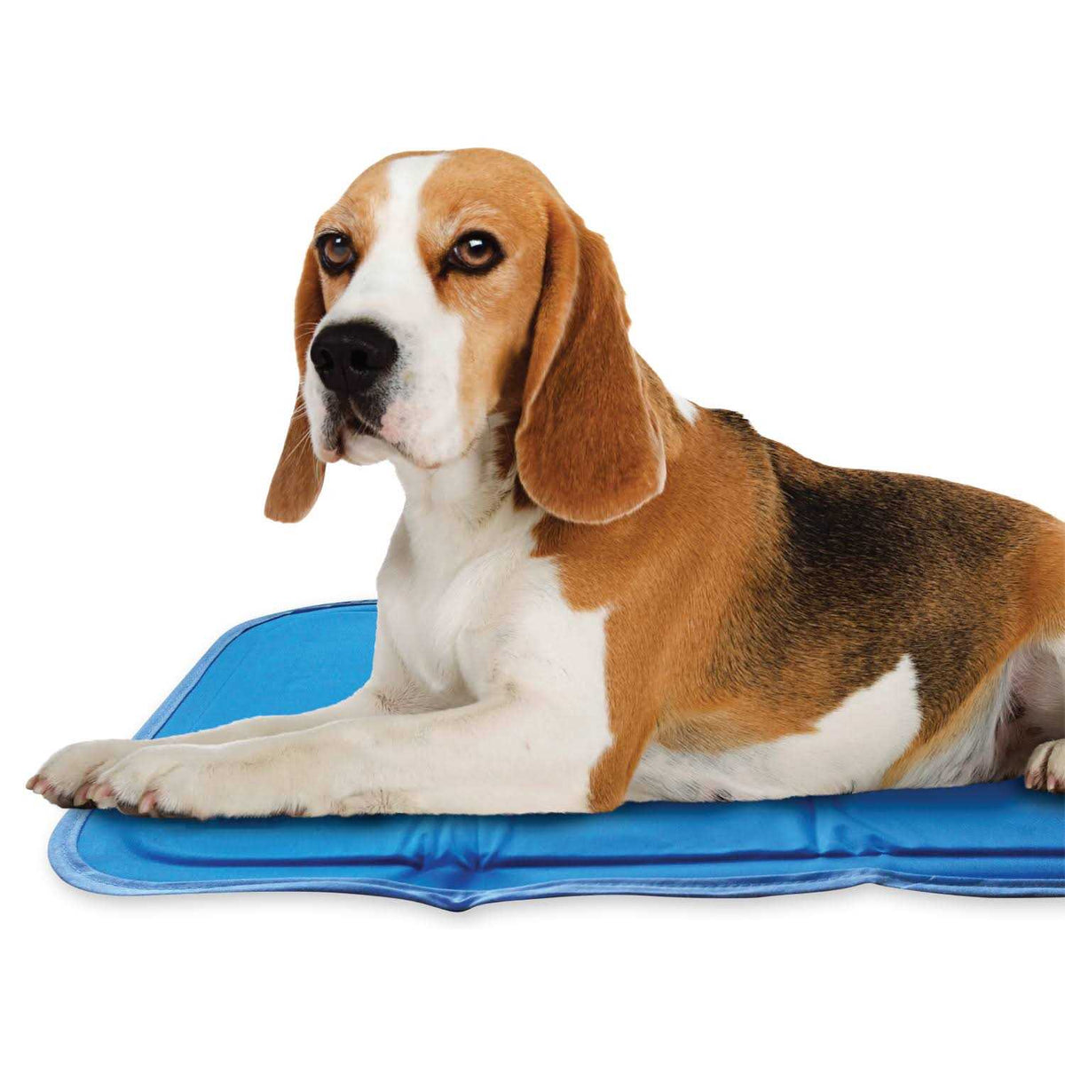 Cool Pet Pad P182213